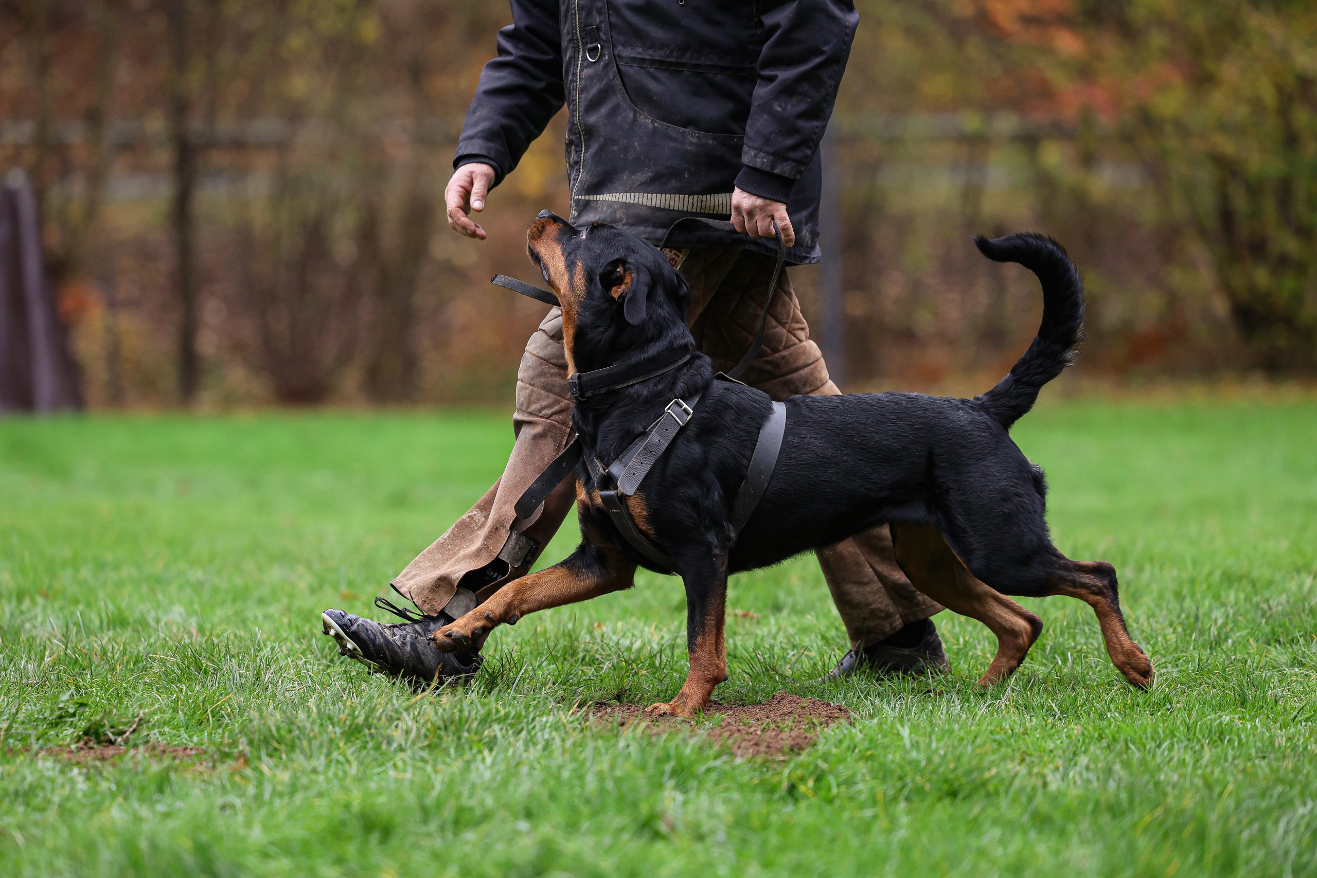 Gemeinsame IGP Übungsstunde